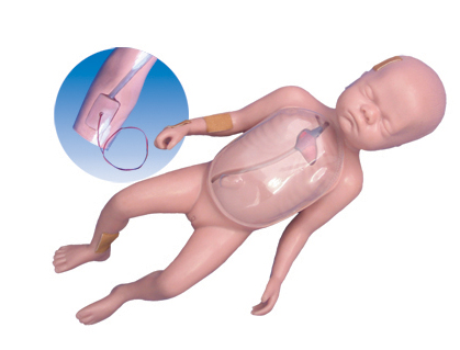 The model of primer insert artery (baby)